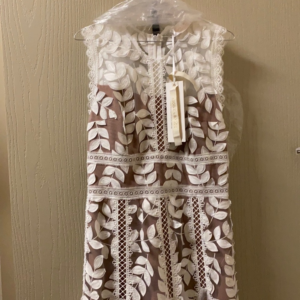 New Megan Lace Midi Dress